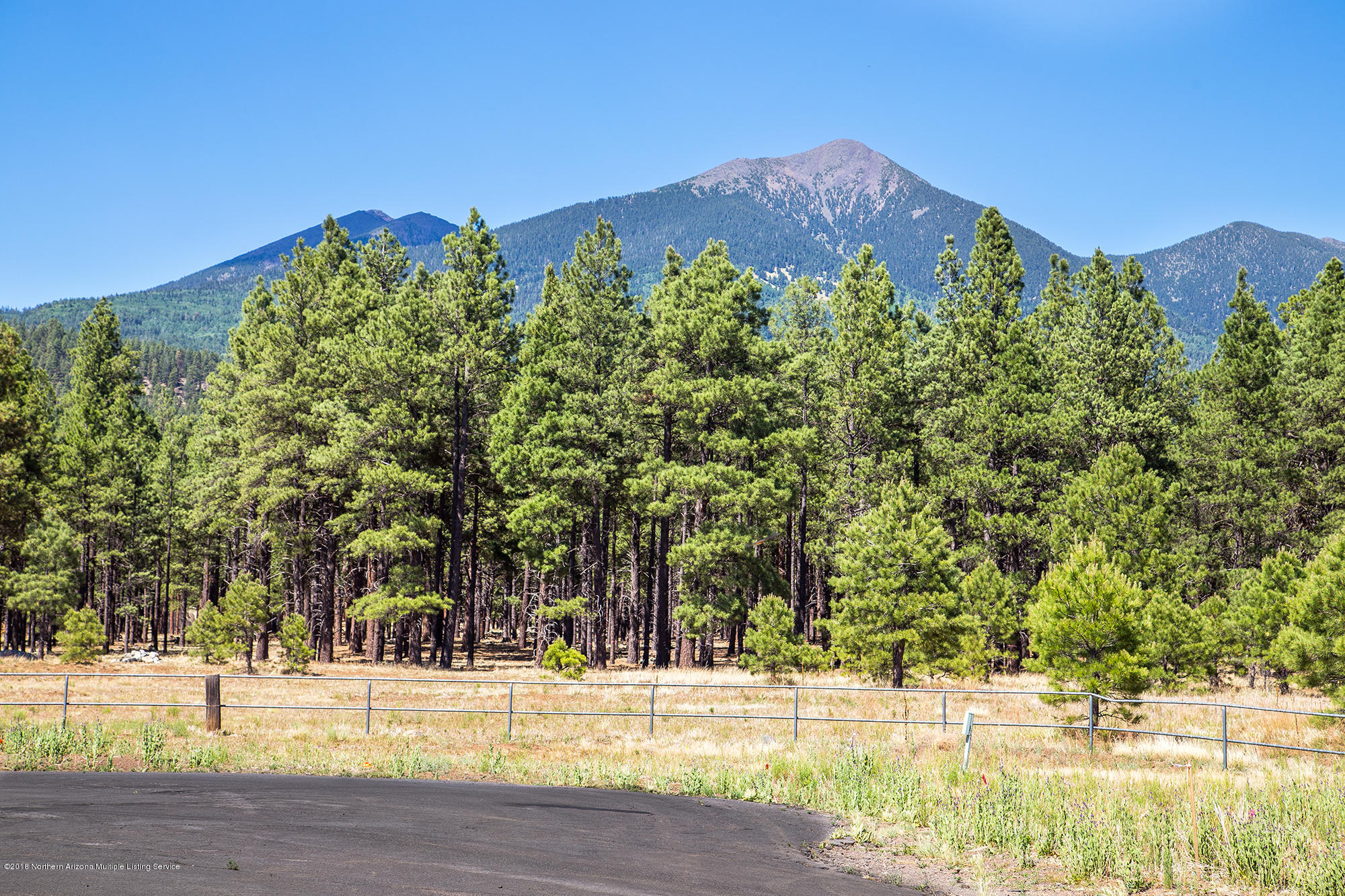 9350 North Snow Bowl Ranch Road Flagstaff, AZ 86001 - Photo 13 of 42 01_Lot1