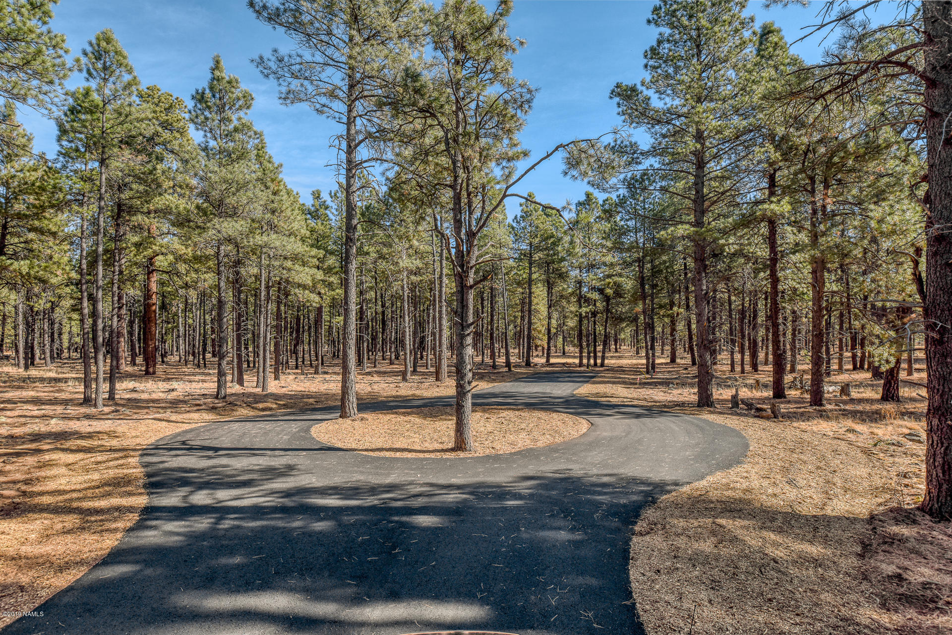 9350 North Snow Bowl Ranch Road Flagstaff, AZ 86001 - Photo 2 of 42 9350 N Snowbowl Ranch Rd-0006