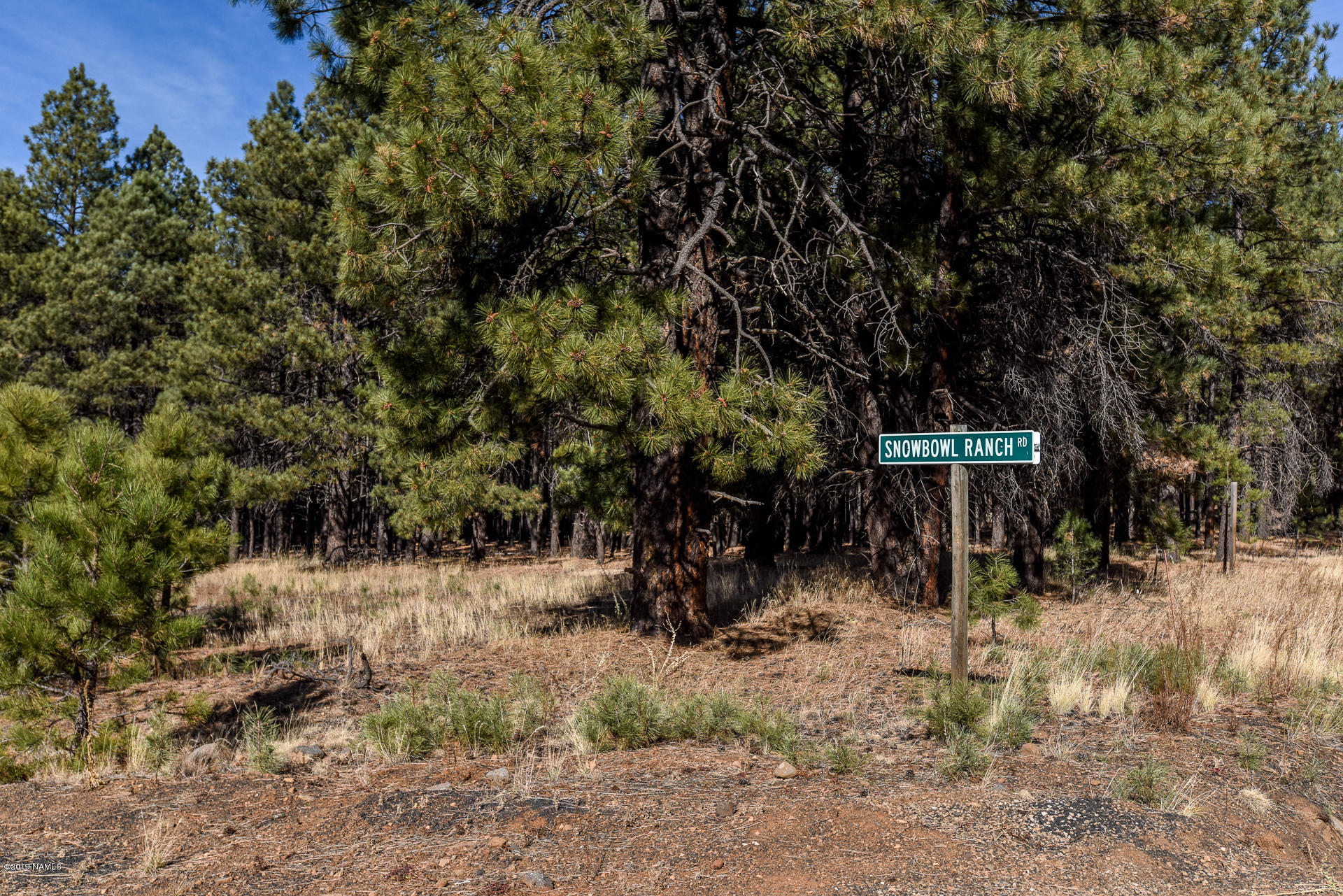 9350 North Snow Bowl Ranch Road Flagstaff, AZ 86001 - Photo 3 of 42 9350 N Snowbowl Ranch Rd-0002
