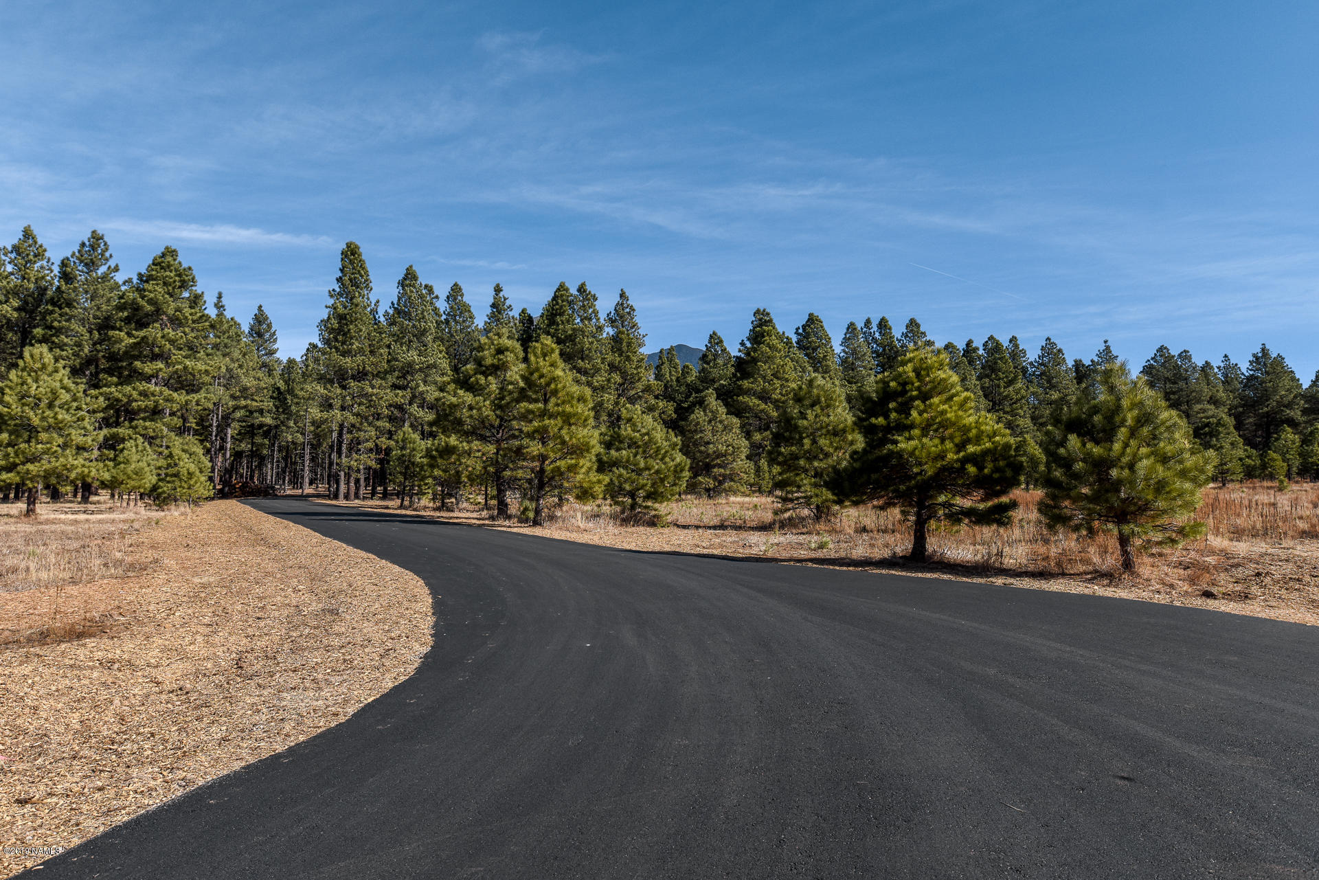 9350 North Snow Bowl Ranch Road Flagstaff, AZ 86001 - Photo 4 of 42 9350 N Snowbowl Ranch Rd-0005