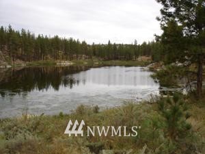 000 Cameron Lake Loop Road Okanogan, WA 98840 - Photo 1 of 1 Gallery Image 1