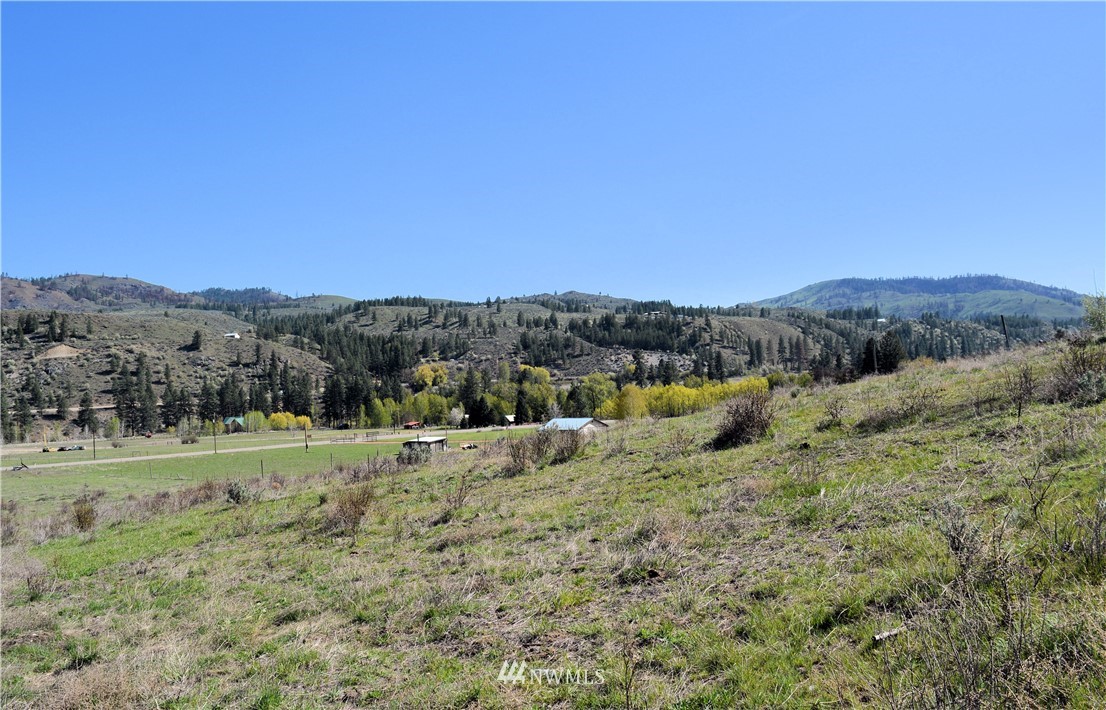 239 Twisp Carlton Road Carlton, WA 98814 - Photo 13 of 21 Gallery Image 13
