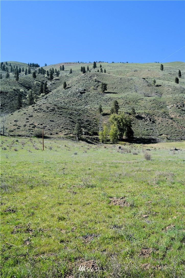 239 Twisp Carlton Road Carlton, WA 98814 - Photo 14 of 21 Gallery Image 14