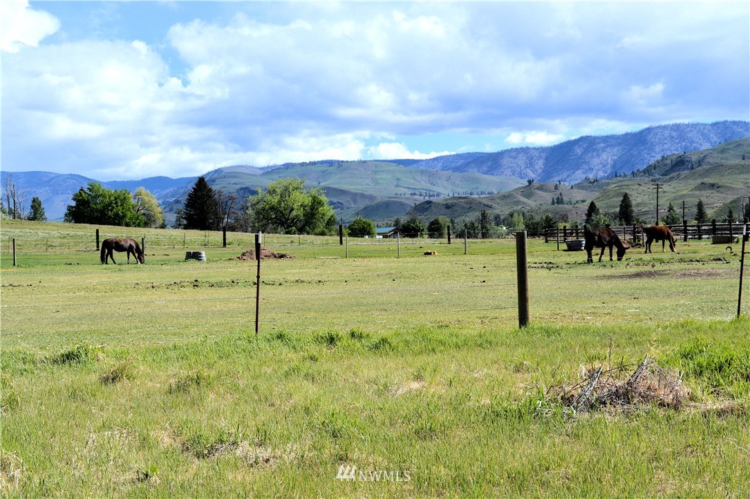 239 Twisp Carlton Road Carlton, WA 98814 - Photo 19 of 21 Gallery Image 19