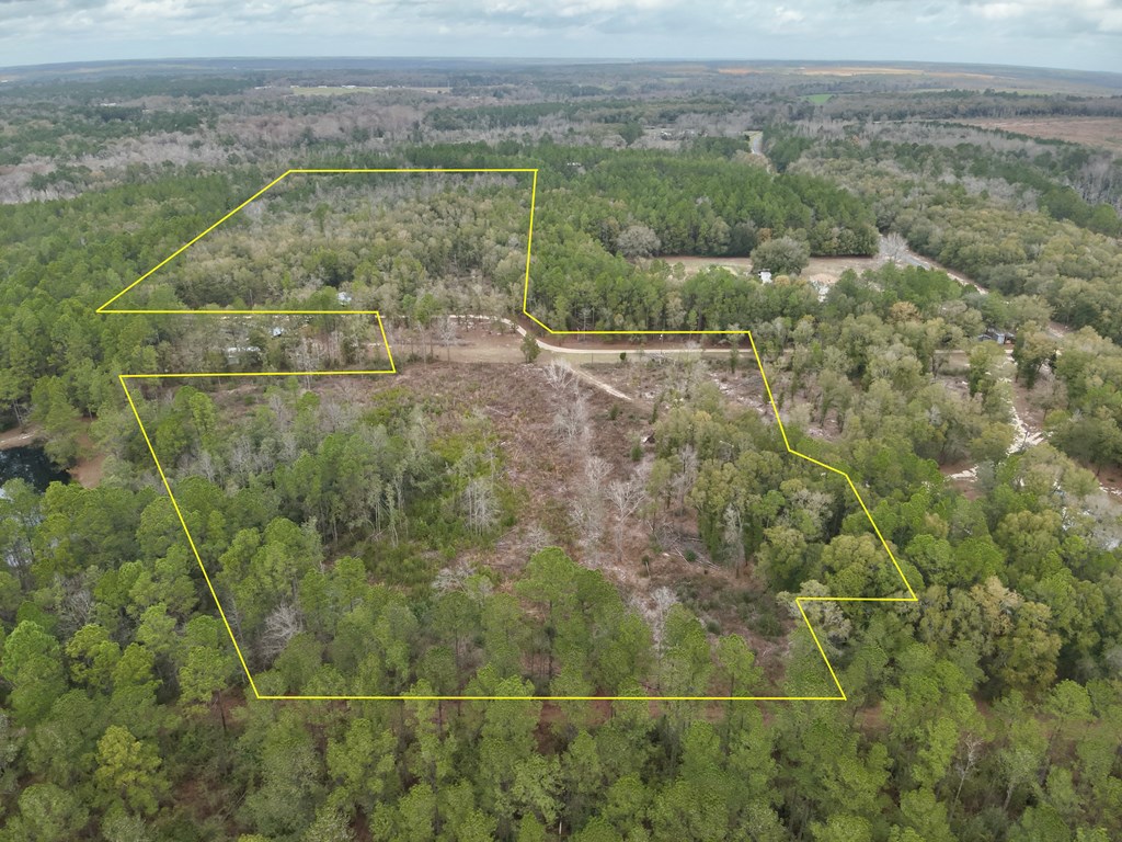 16.8-ac Mound Road Black, AL 36314 - Photo 15 of 17