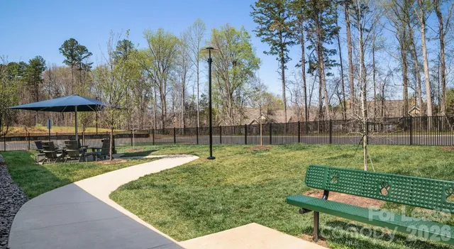 a view of a park with large trees