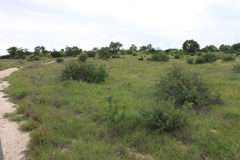 0 Oak Ridge Ranch Junction Junction, TX 76849 - Photo 18 of 19