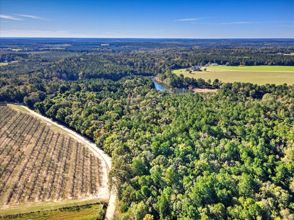 0 Broomstraw Road Johnston, SC 29832 - Photo 15 of 22