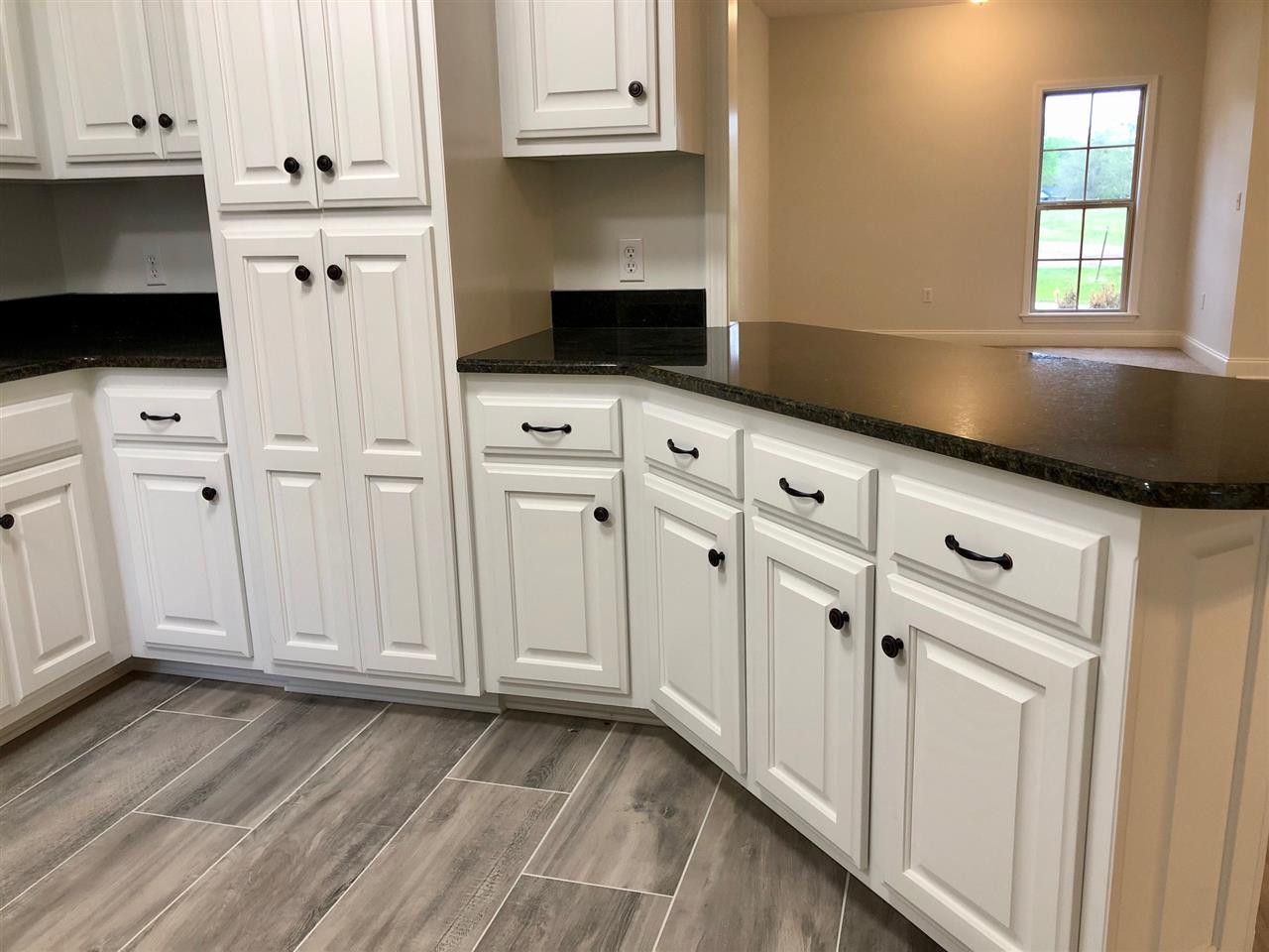 107 Caleb Cove Carthage, MS 39051 - Photo 7 of 41 Photo 7