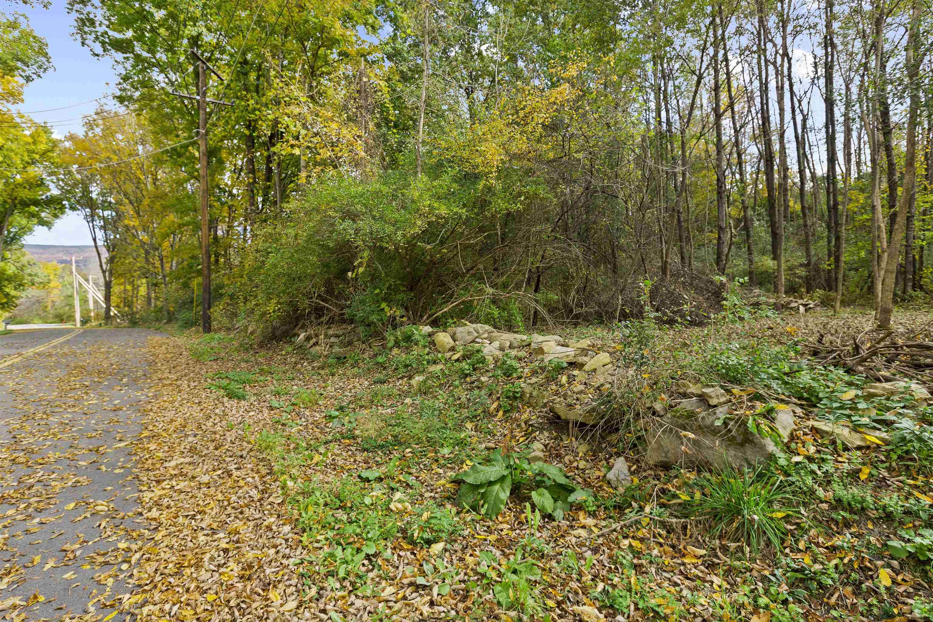 0 Willow Road Bennington, VT 05201 - Photo 10 of 18