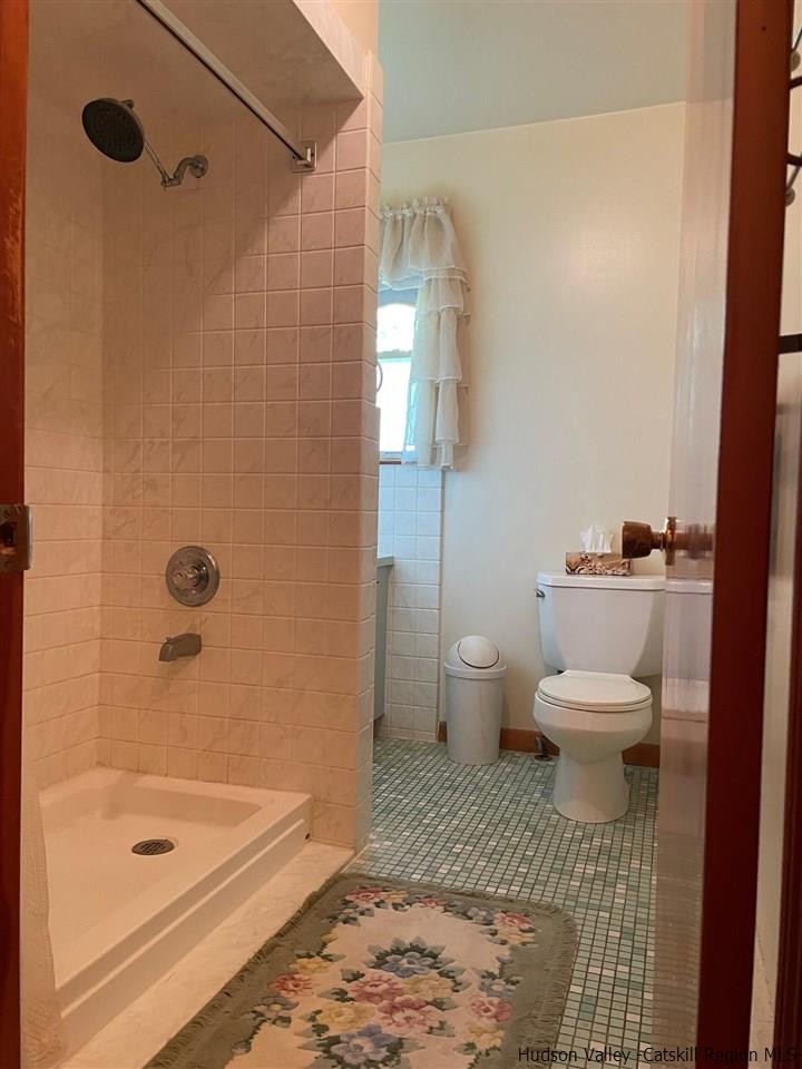 307 Blue Mountain Road Saugerties, NY 12477 - Photo 15 of 20 a bathroom with a toilet and a shower