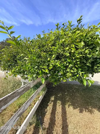 $3,000 | 575 Aloma Way, Arroyo Grande, CA 93420