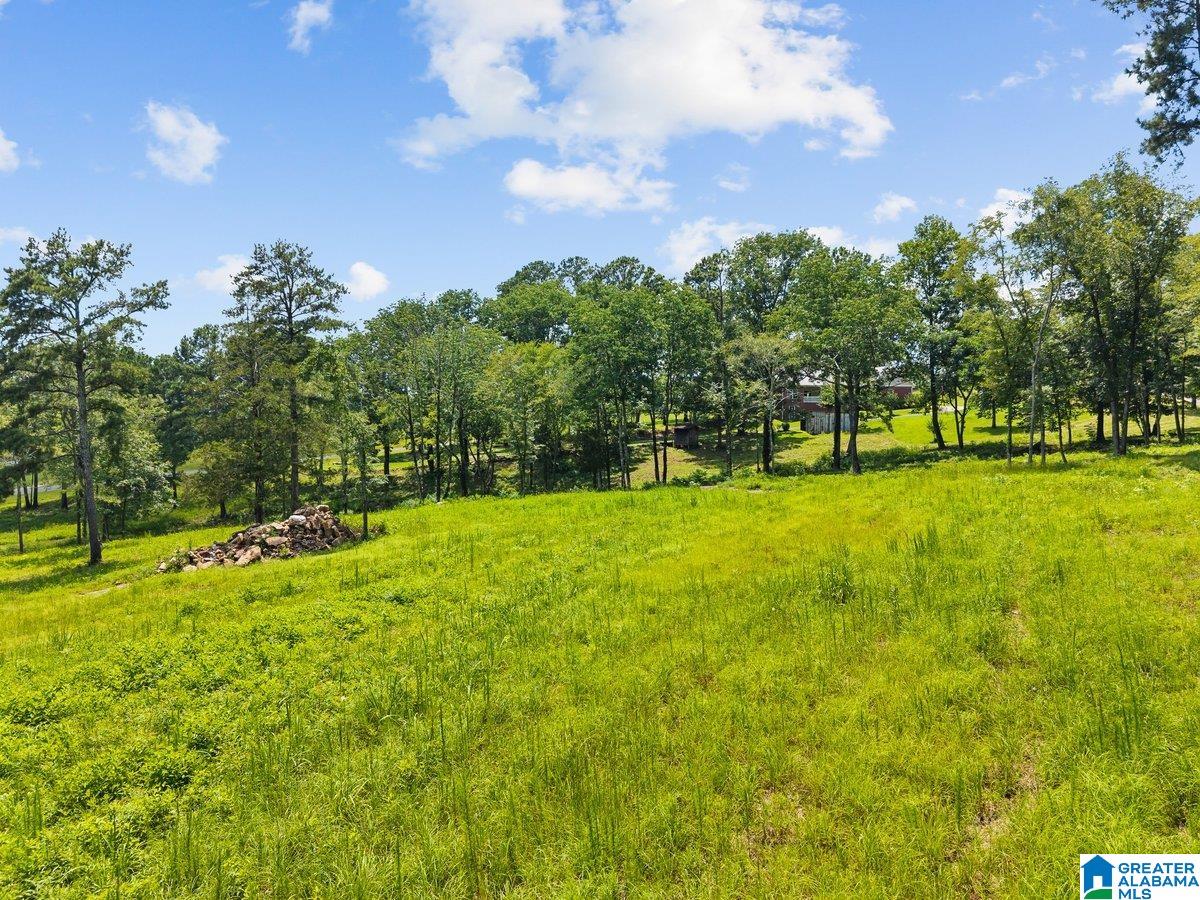 4705 County Highway 45 Hayden, AL 35079 - Photo 19 of 41