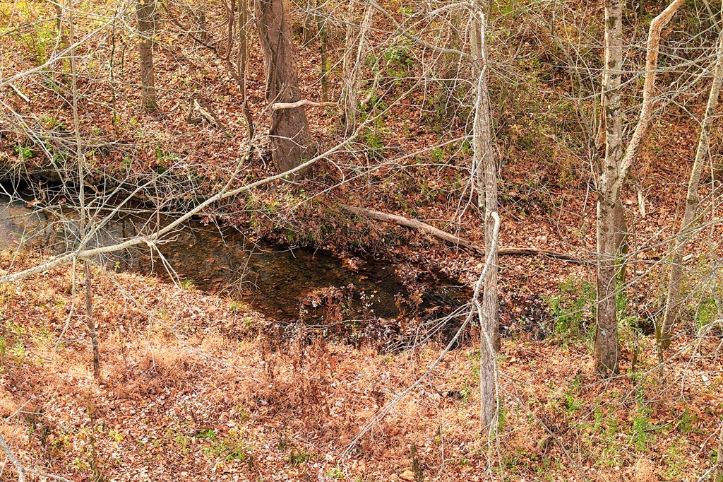 0 Old Kentucky Road Sparta, TN 38583 - Photo 11 of 11 a picture of a tree in the background