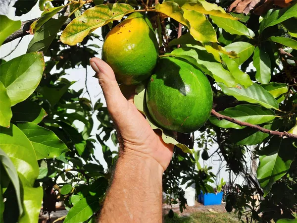 $1,390,000 | 155 31st Avenue Southwest, Vero Beach, FL 32968