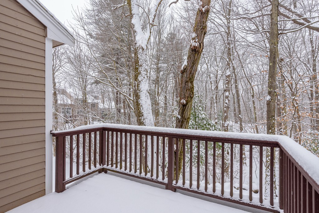 41 Bishops Forest Drive, Unit 41 Waltham, MA 02452 - Photo 16 of 18
