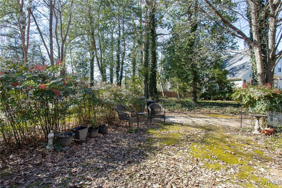 9616 Tree Line Terrace Chesterfield, VA 23832 - Photo 22 of 25 Beautiful views from back yard.