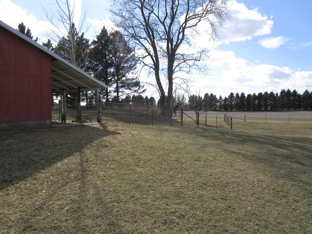 6480 Howison Road Somonauk, IL 60552 - Photo 16 of 19