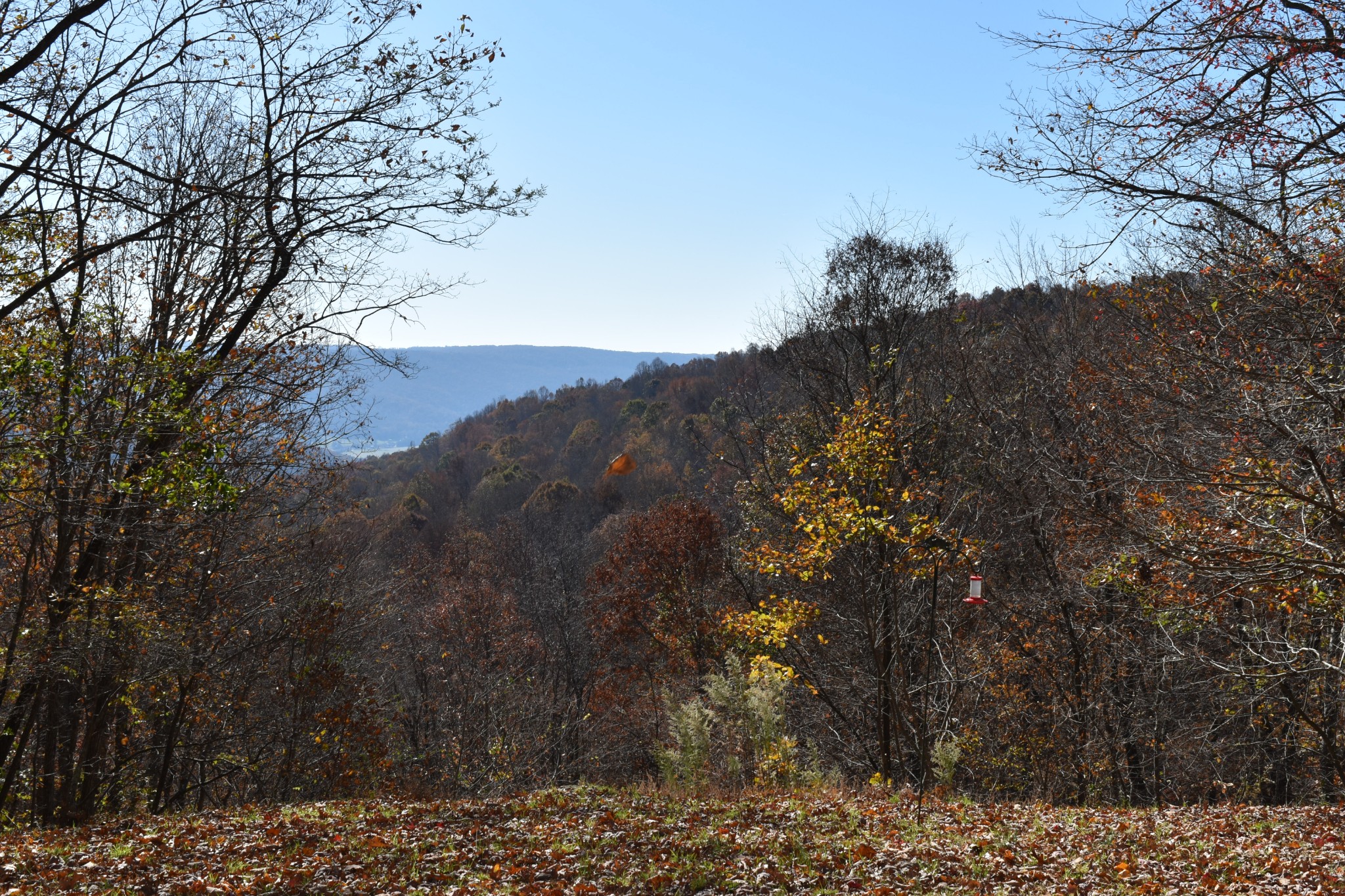 1454 Stagecoach Road Sewanee, TN 37375 - Photo 9 of 75 a view of mountain view with lots of trees