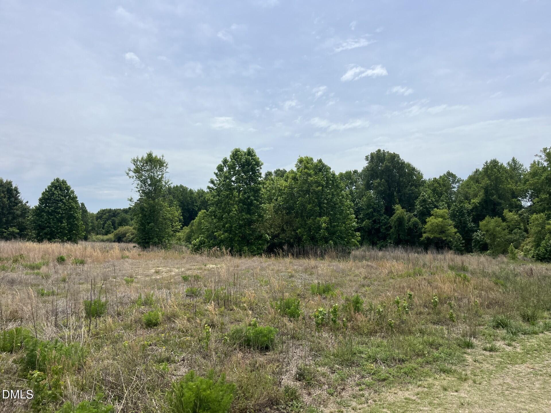 6709 Wimberly Road Willow Spring, NC 27592 - Photo 13 of 23 a view of a yard with a tree