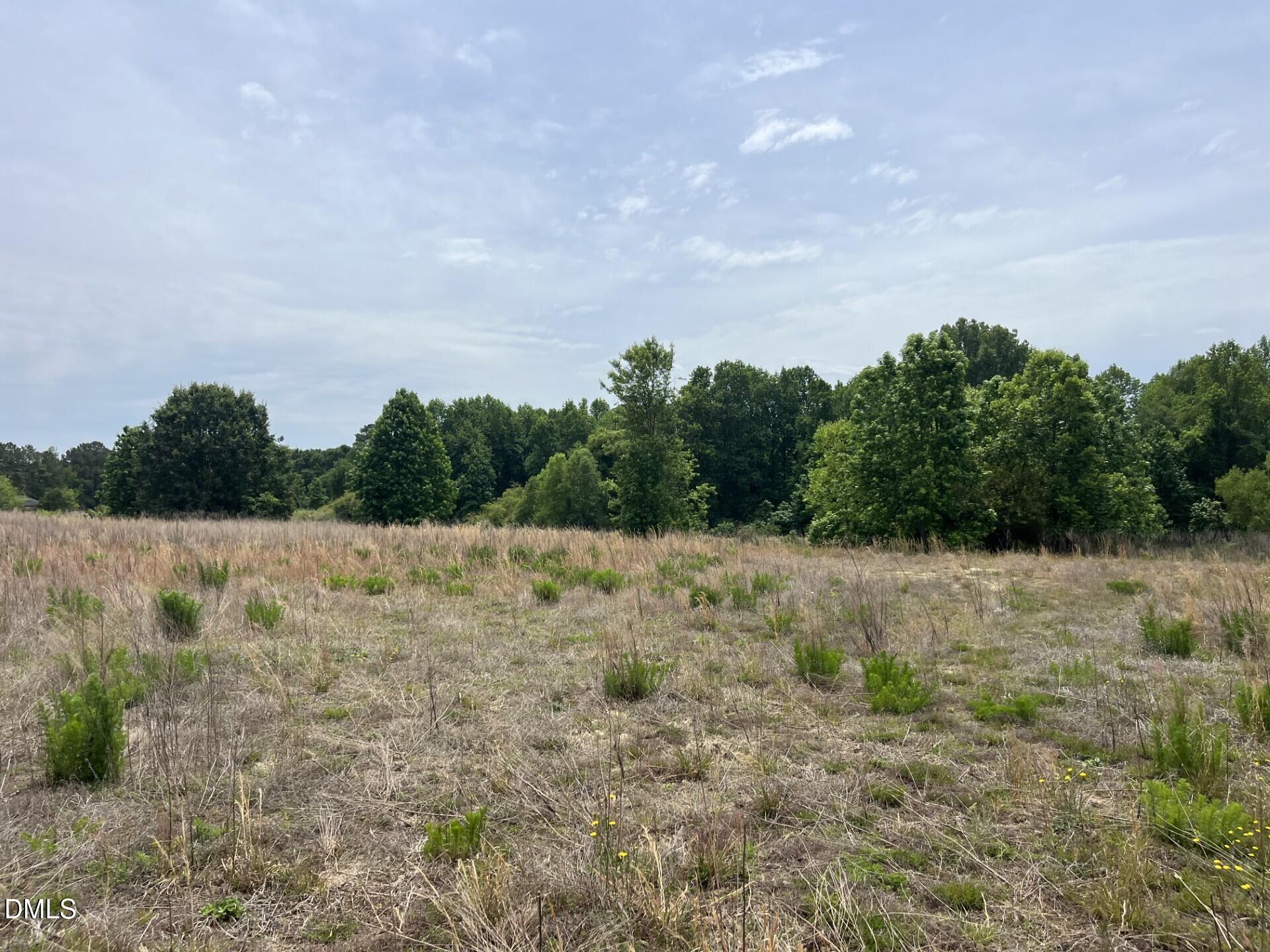 6709 Wimberly Road Willow Spring, NC 27592 - Photo 16 of 23 a view of outdoor space and yard