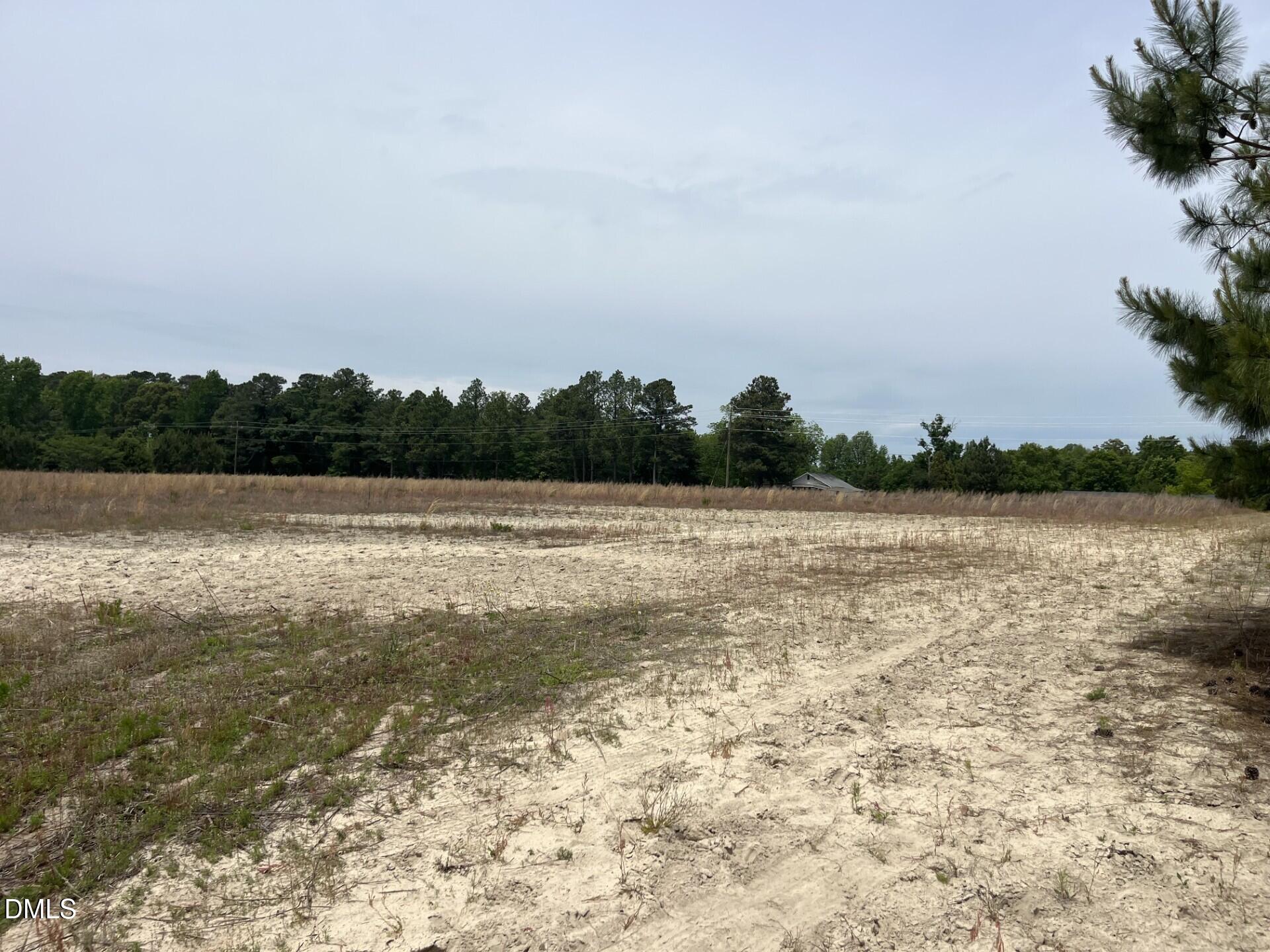 6709 Wimberly Road Willow Spring, NC 27592 - Photo 22 of 23 a view of a lake view