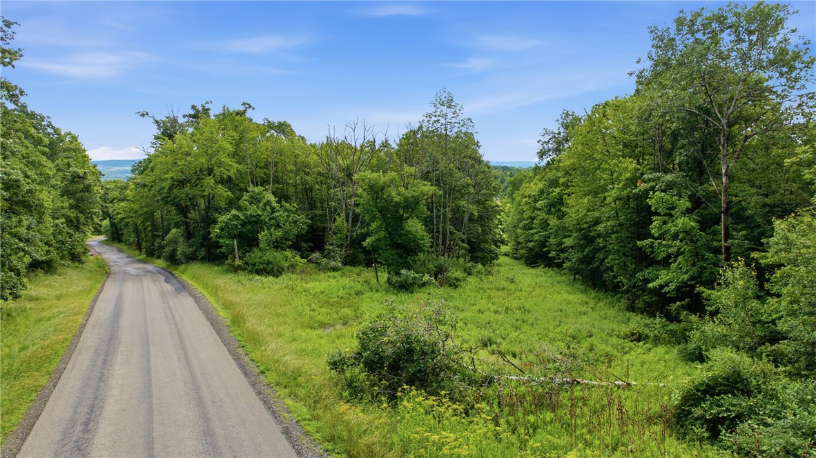 Dunn Road Pine Valley, NY 14872 - Photo 6 of 14