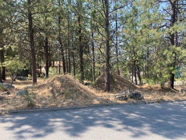 0 South Dyer Road Spokane, WA 99212 - Photo 1 of 4 Gallery Image 1