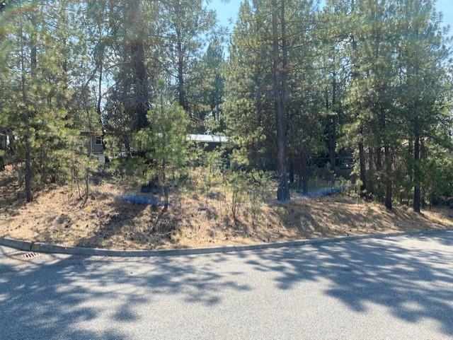 0 South Dyer Road Spokane, WA 99212 - Photo 2 of 4 Gallery Image 2