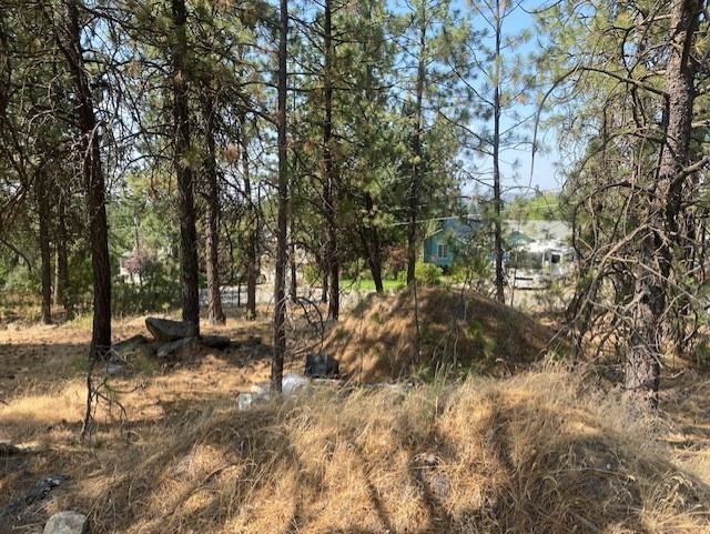 0 South Dyer Road Spokane, WA 99212 - Photo 3 of 4 Gallery Image 3