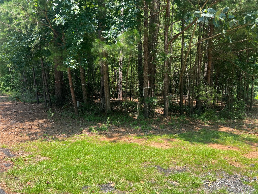 0 Promontory Ridge, Unit LOT 45 STILLWATER Seneca, SC 29672 - Photo 6 of 26
