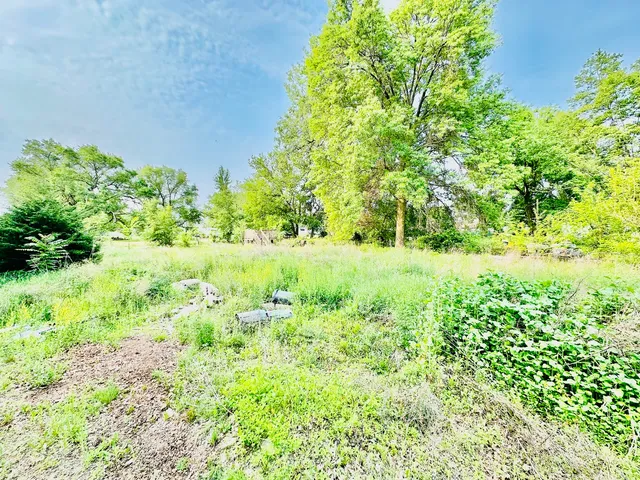 a view of yard with green space