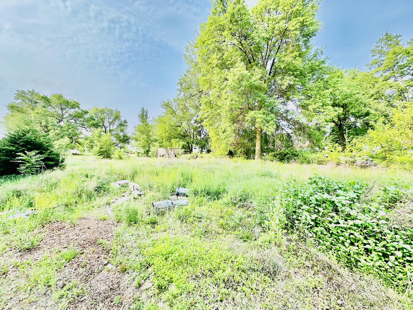 a view of yard with green space
