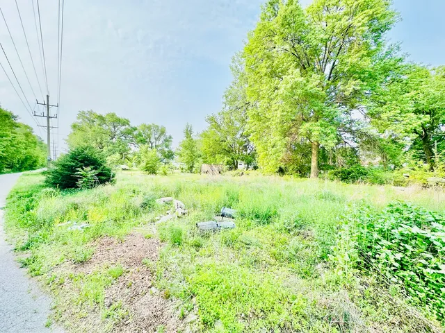 a view of yard with green space