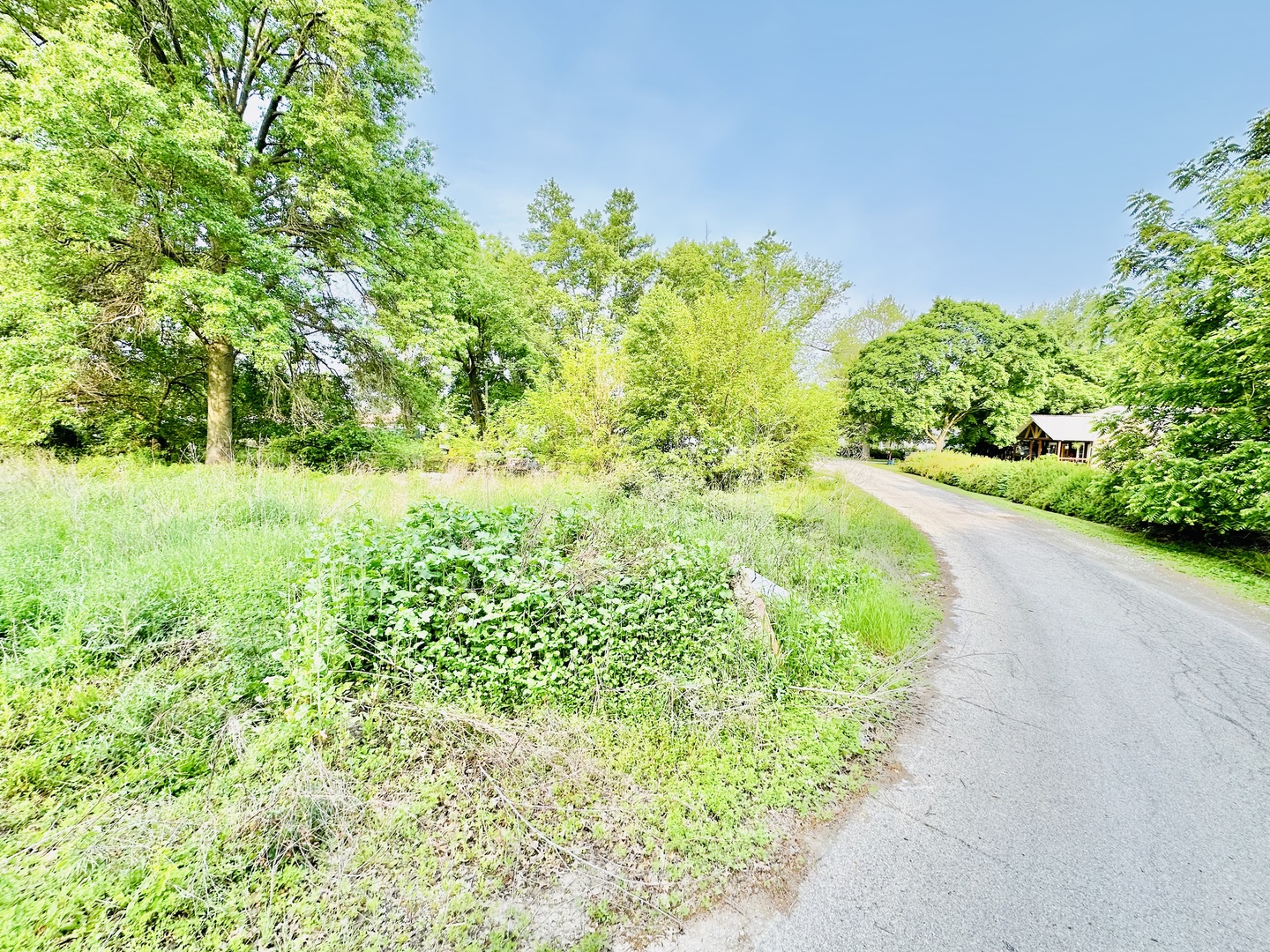 921 Maple Street Streator, IL 61364 - Photo 3 of 3 a view of a garden with plants