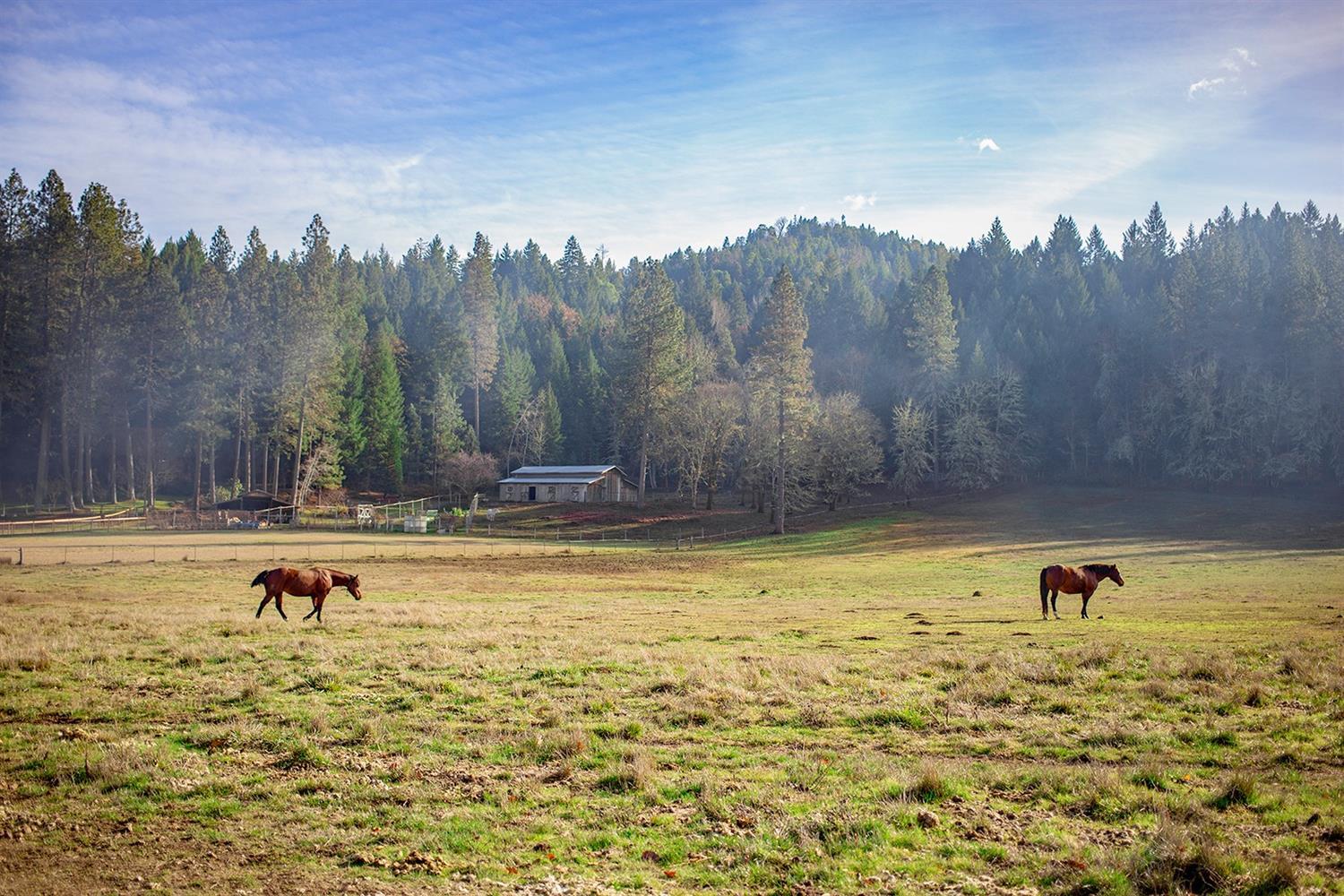 1015 Caves Camp Road Williams, OR 97544 - Photo 32 of 34 Additional Photo
