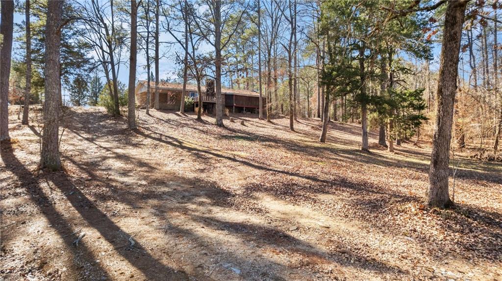 6902 Blacks Bluff Road Southwest Cave Spring, GA 30124 - Photo 31 of 40