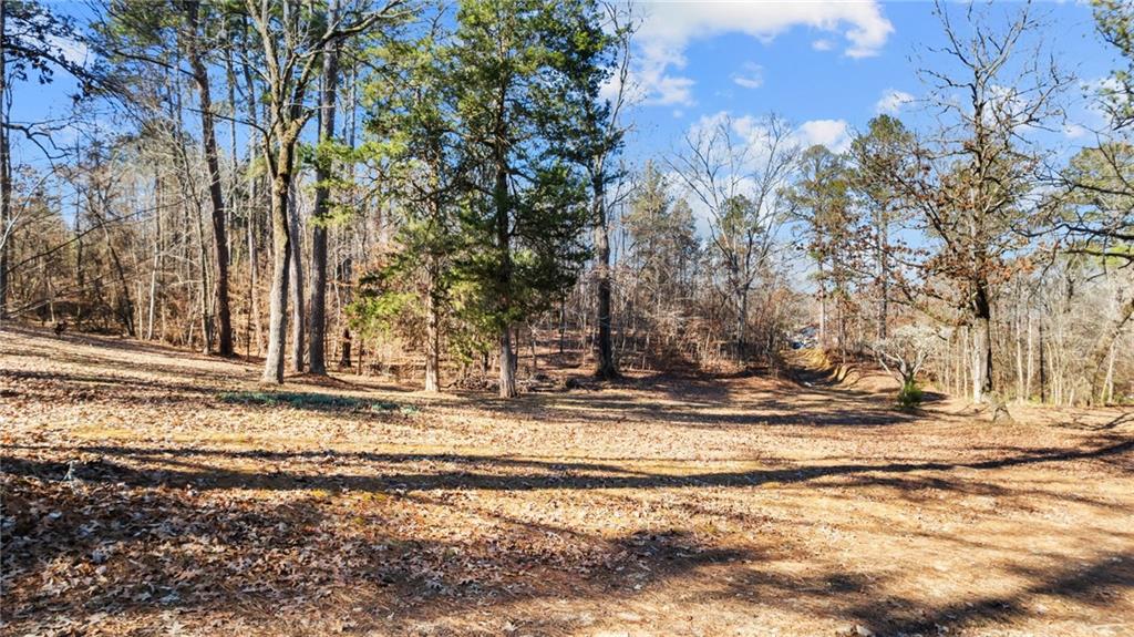 6902 Blacks Bluff Road Southwest Cave Spring, GA 30124 - Photo 33 of 40