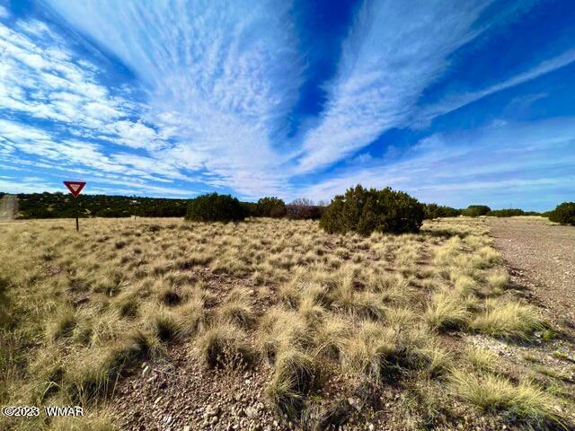127 Co Road Concho, AZ 85924 - Photo 11 of 16