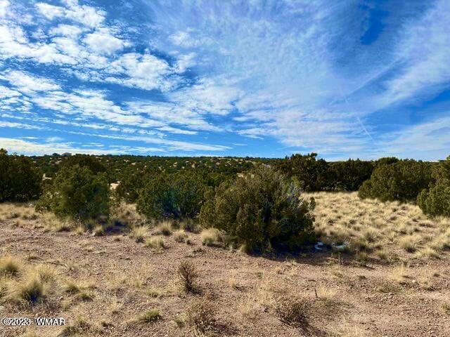 127 Co Road Concho, AZ 85924 - Photo 13 of 16