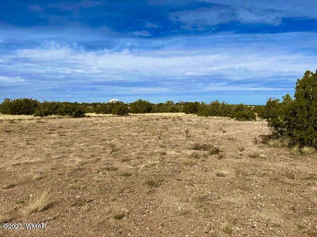 127 Co Road Concho, AZ 85924 - Photo 14 of 16