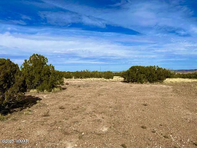 127 Co Road Concho, AZ 85924 - Photo 15 of 16