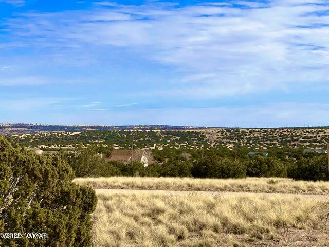 127 Co Road Concho, AZ 85924 - Photo 3 of 16