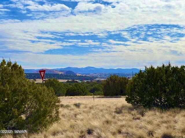 127 Co Road Concho, AZ 85924 - Photo 4 of 16