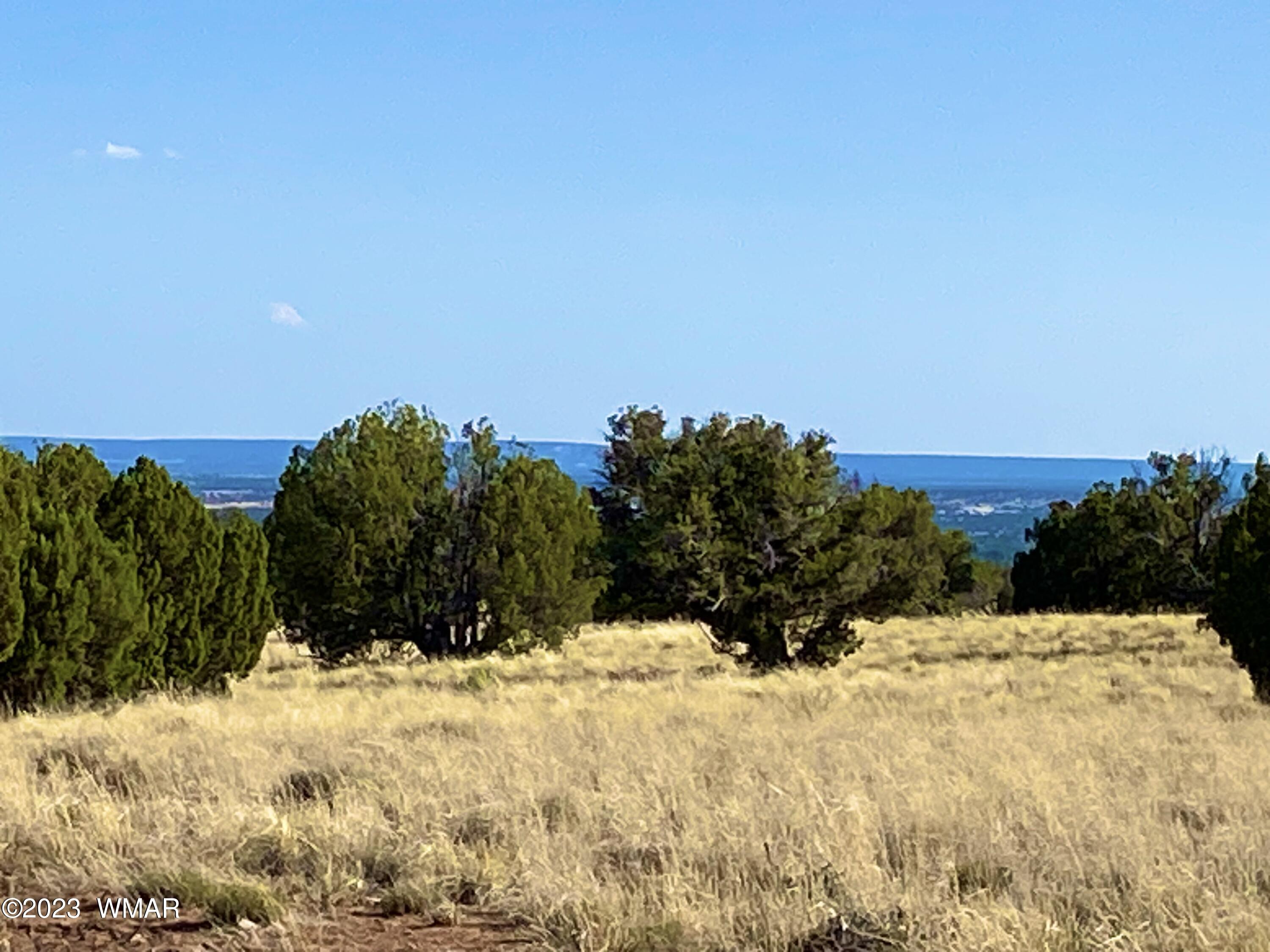 127 Co Road Concho, AZ 85924 - Photo 6 of 16