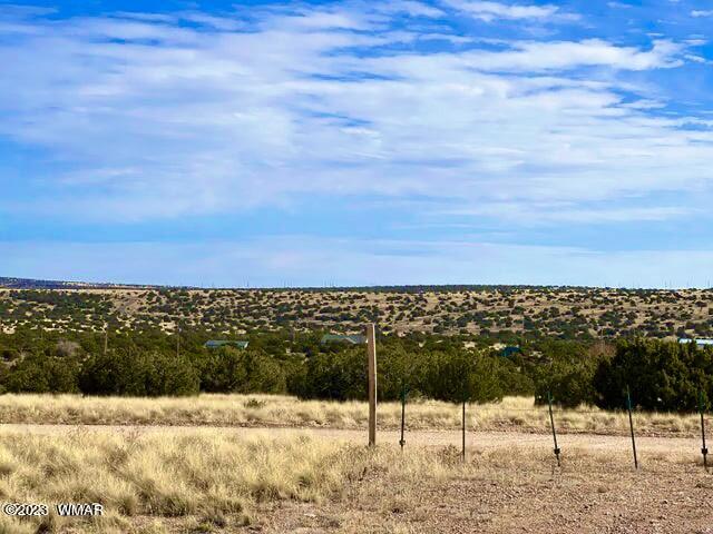 127 Co Road Concho, AZ 85924 - Photo 7 of 16
