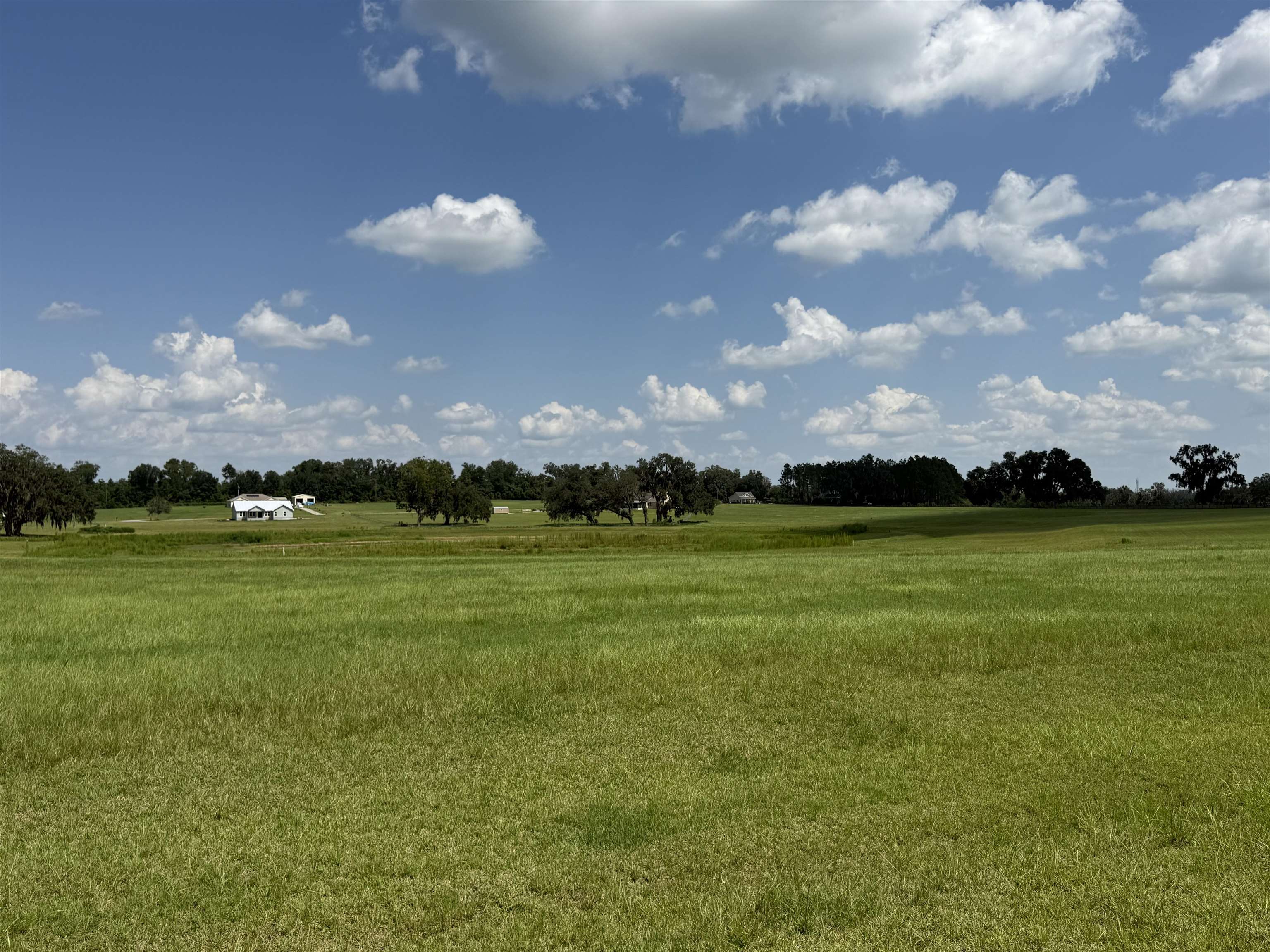 Tbd Northwest Loper Plantation Road Madison, FL 32340 - Photo 3 of 5 Gallery Image 3