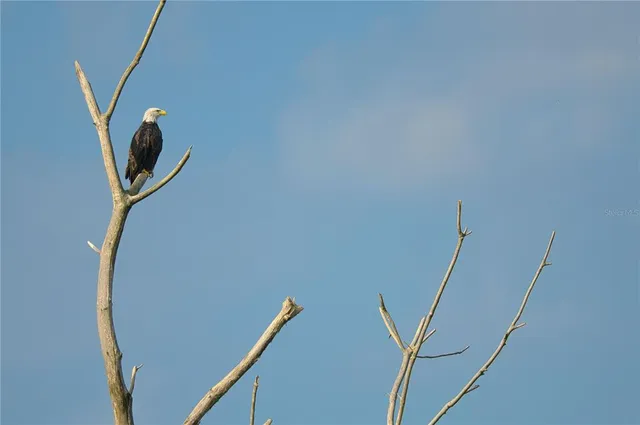 a view of a lake from a city