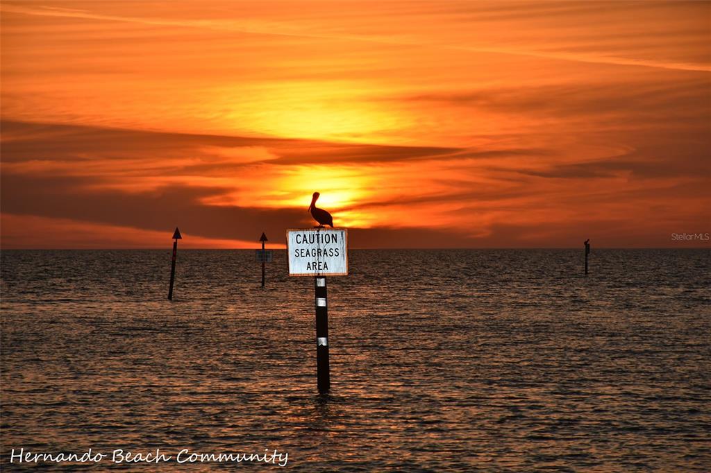 4502 Bahama Drive Hernando Beach, FL 34607 - Photo 7 of 28