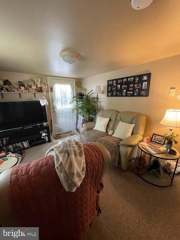 227 Mill Road Morgantown, PA 19543 - Photo 8 of 36